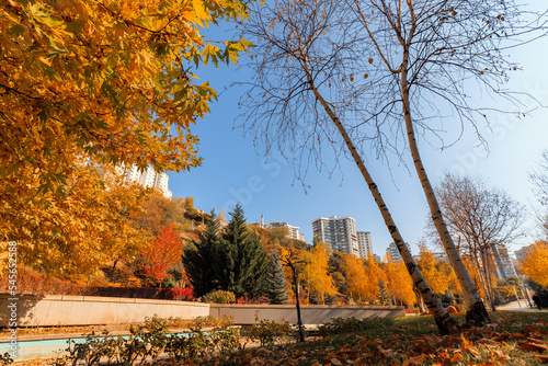 Beautiful view of trees with various colours and buildings on the background in Dikmen Valley | Dikmen Vadisi natural park in autumn in Ankara.  photo