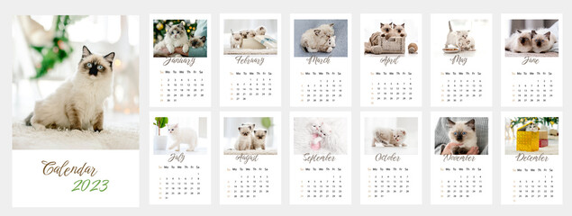 Calendar design for 2023 year