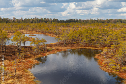Swamp with lakes, bog in Estonian nature reserve.