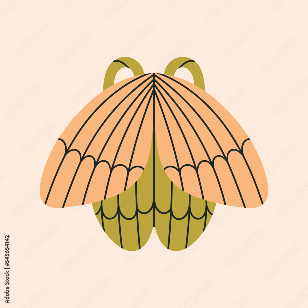 Fototapeta premium Illustration of a children's fancy dress - butterfly, fairy wings. Games, fun, theater and Halloween concept. Hand drawn vector illustration isolated on peach background. Cute style.