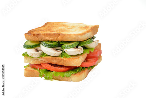 Homemade vegan sandwich with mushrooms, tomato, cucumber and green salad. Sandwich isolated on white background. Side high view of sandwich