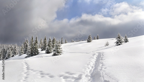Slika na platnu Winter landscape of mountains with of fir tree forest and glade in snow with path before forthcoming snow windstorm during snowfall