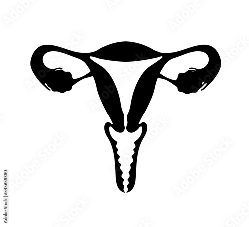 Black silhouette of female uterus, flat vector illustration, female organ, simple anatomy illustration isolated on white background. Women s health, menstruation and menopause.