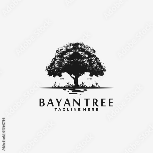 Bayan Tree, Oak Tree vector illustration logo design template photo