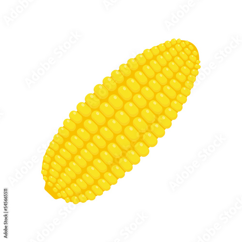 Peeled corn ears. corn vector yellow fruit