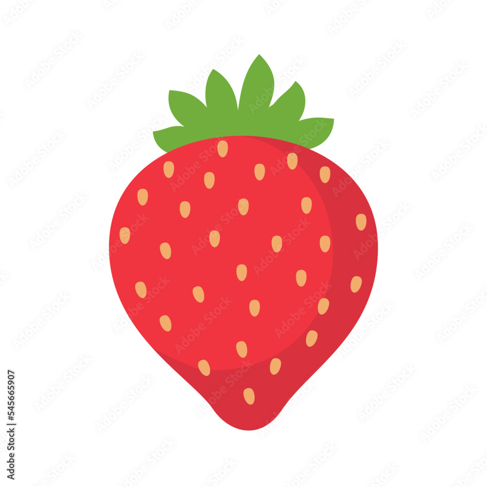 Fototapeta premium Strawberry vector. Sweet red fruit cut in half for a refreshing summer juice.