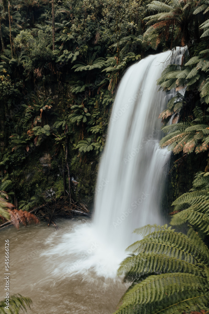 Beauchamp Falls in the Otways, Australia Beauchamp Falls in the Otways, Australia