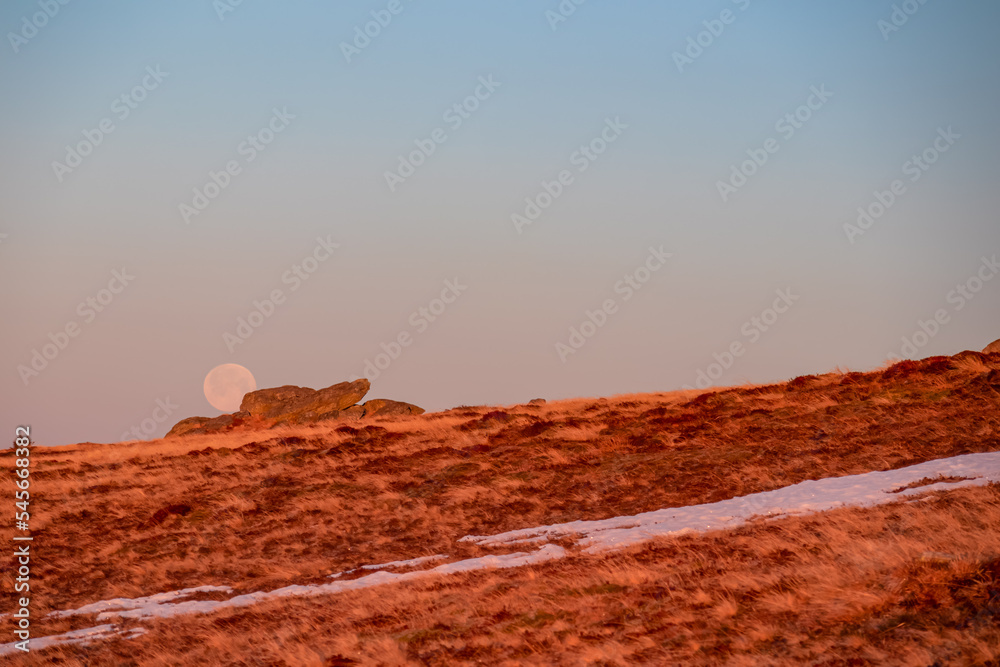 Scenic view of the full moon after sunrise seen from an alpine meadow near Ladinger Spitz, Saualpe, Lavanttal Alps, Carinthia, Austria, Europe. Grassland at early morning golden hour in Wolfsberg