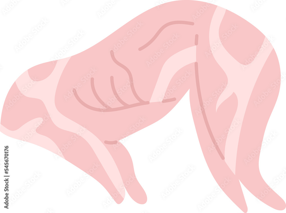 rabbit meat fresh food grocery butcher clipart