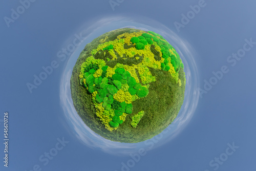 Fototapeta Naklejka Na Ścianę i Meble -  Green planet Earth from natural moss. Symbol of sustainable development and renewable energy