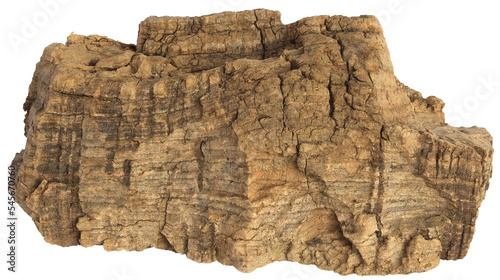 Chunk of cork oak bark , with a rock-like texture