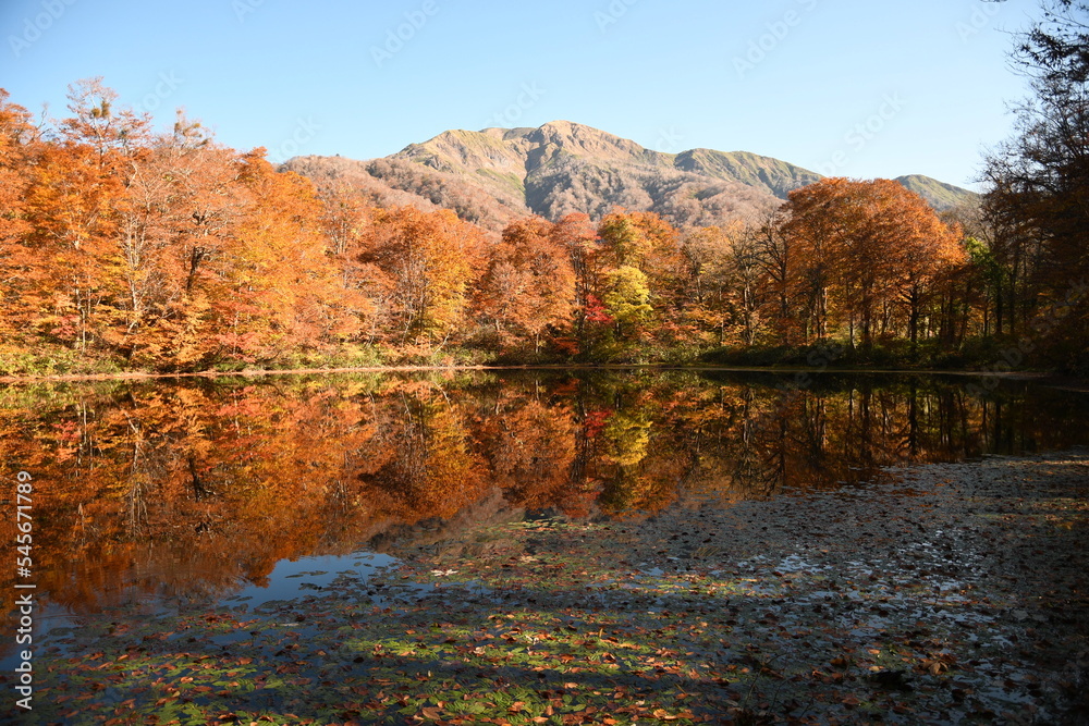 秋の鏡
