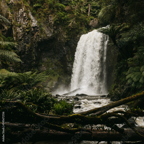 Hopetoun Falls  waterfall located on Great Ocean Road  Victoria  Australia