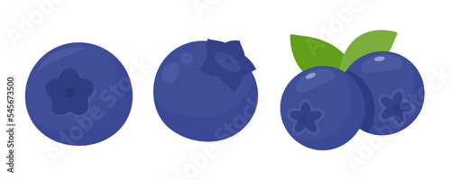 Blueberry vector. Fresh berries. Healthy fruits contain antioxidants.