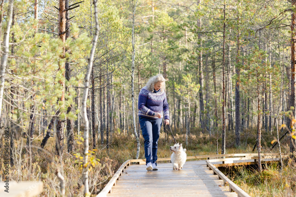 Woman with West Highland white terrier walking on forest trail