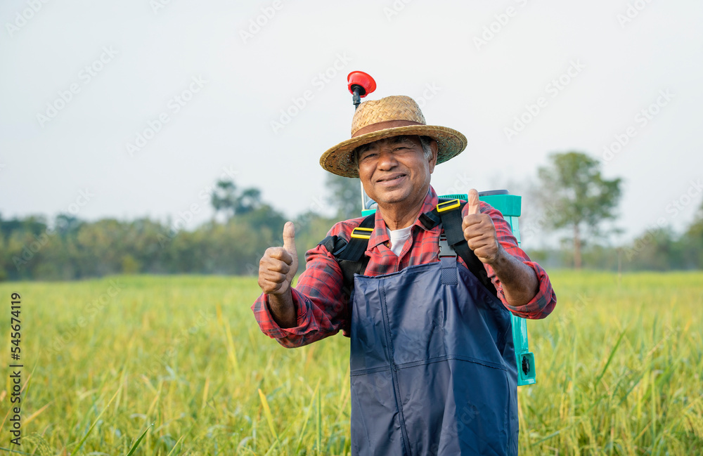 Portrait of elderly Thai farmer smiling with thumbs up with a sprayer on his back. on rice field background