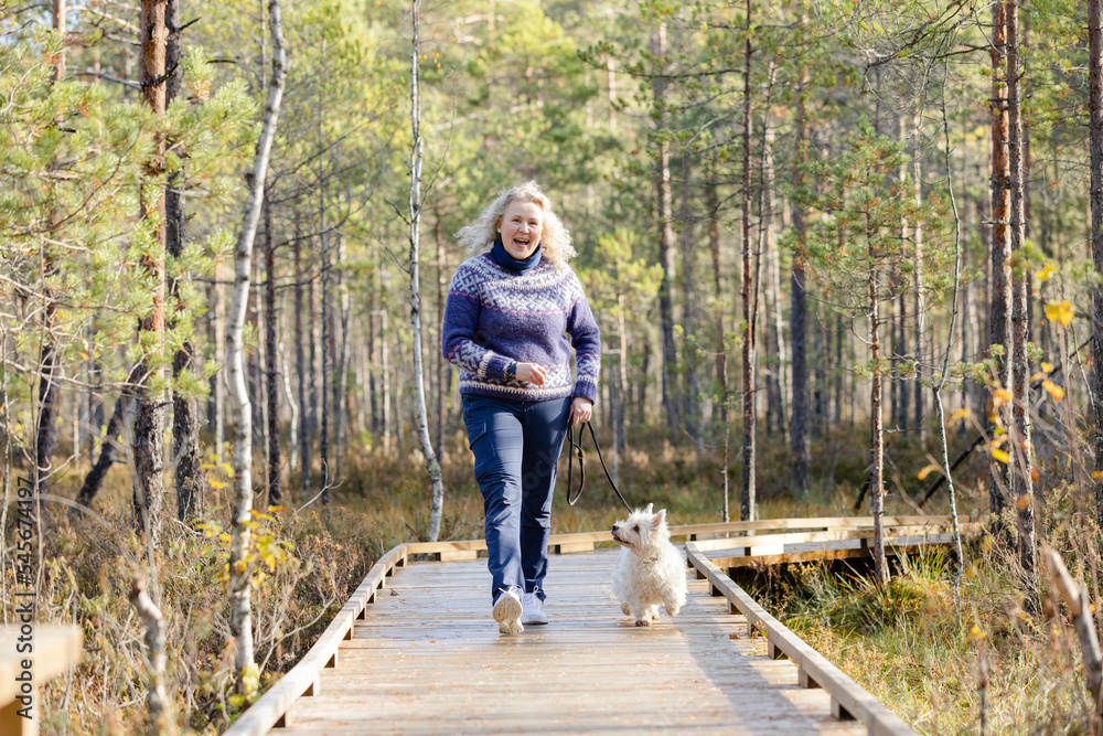 Fototapeta premium Woman with West Highland white terrier walking on forest trail