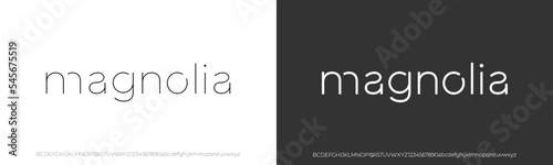 Elegant Font. Luxurious Glamour Exclusive Light Regular Font. Uppercase Lowercase and Number. Minimal Fashion Design 