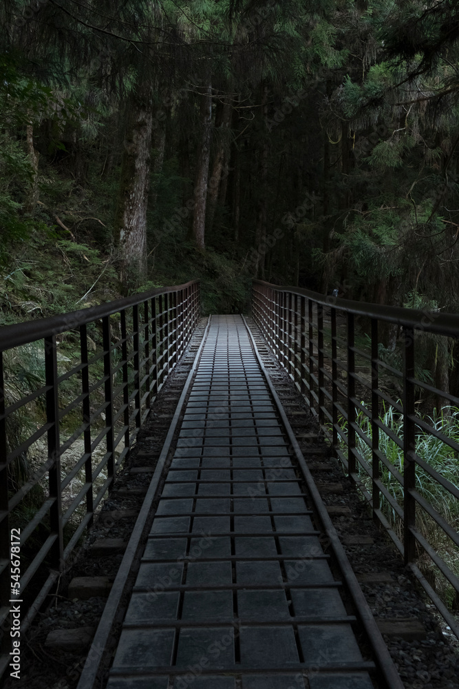 Suspension bridge in the forest with rays of light Suspension bridge in the forest with rays of light