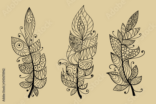 Hand drawn creative feather set. Vector artistic illustration.	