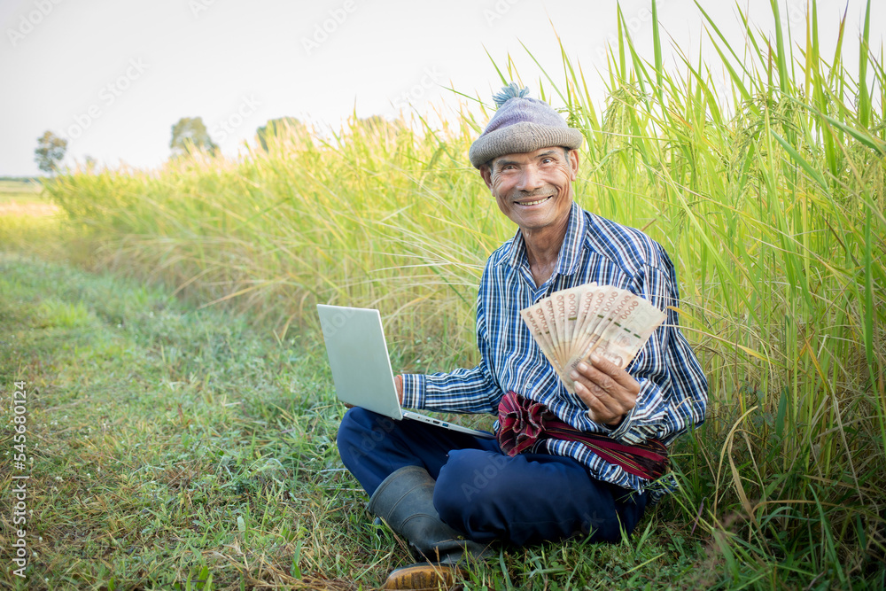 Happy Asian man farmer with smiling face hand holding money in rice farm, cash subsidy concept Happy Asian man farmer with smiling face hand holding money in rice farm, cash subsidy concept