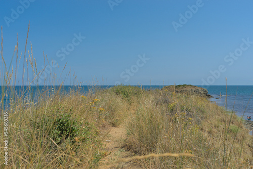 Clear water in the sea  blue sky  hills on a bright sunny day. Calm summer vacation landscape