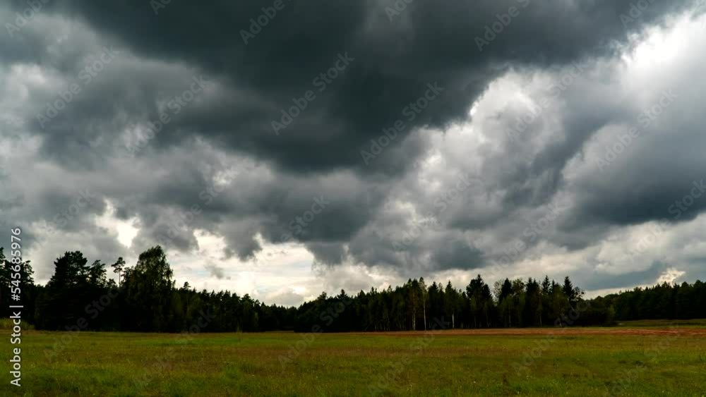 Forests, fields and meadows of Podlasie.