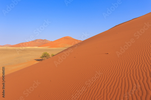 The famous dune 45. The Namib-Naukluft National Park of Namibia.