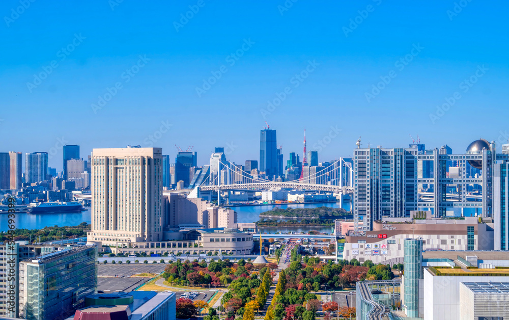 Fototapeta premium 東京 2022秋 お台場 東京タワー