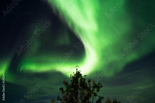 Northern Lights