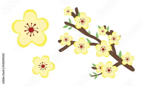 Chinese New Year festival Ochna flower blossom clipart. Simple cute yellow flowers Ochna integerrima flat vector design illustration cartoon. Design elements. Asian Happy Lunar New Year concept