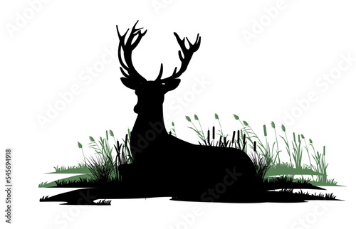 Adult male deer. Wild animals. Silhouette figures. Isolated on white background. Vector.