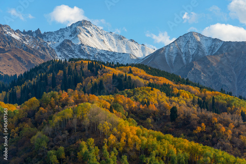 Trees with autumn foliage on the slopes of the Zailiyskiy Alatau mountains in Kazakhstan