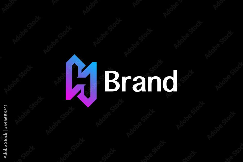 Modern Simple Letter H Logo 