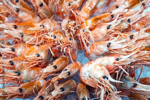 Sea shrimps close-up. Showcase of store of ocean products. Seafood for cooking delicacies. Shrimp mixed with ice. Shrimp sale concept. Crustacean animals. Fragment of showcase of sea restaurant