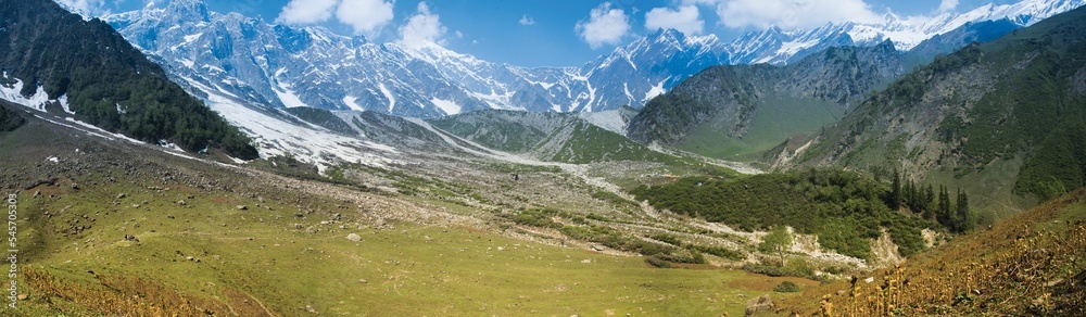 Panorama of a beautiful landscape with forest and mountains in a background