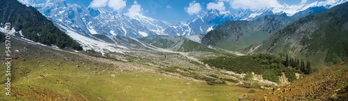 Panorama of a beautiful landscape with forest and mountains in a background