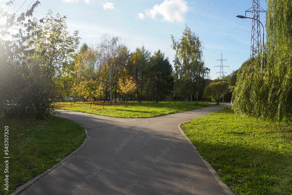 Fototapeta premium Split road in the city park in the sunny autumn day