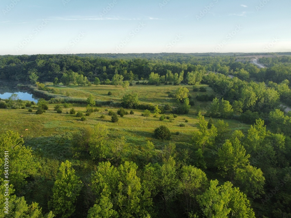 Obraz premium Aerial view of greenery field surrounded by dense trees and water
