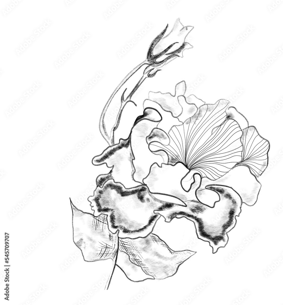 Fototapeta premium hand drawn sketch of flower
