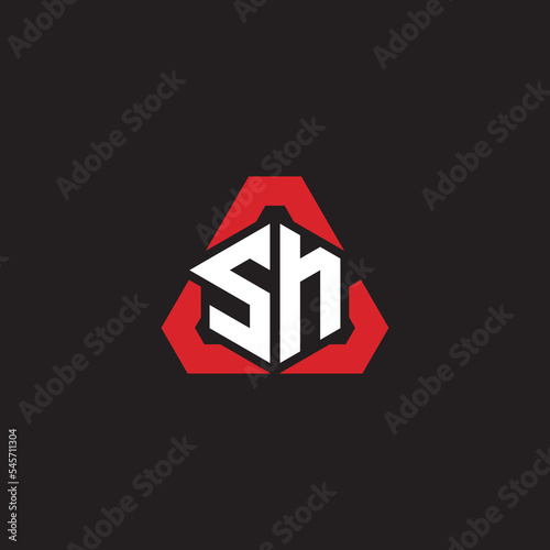 SN initial logo esport team concept ideas