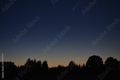 Comet flying in a beautiful night sky over the silhouettes of the trees. © J  Rohner/Wirestock Creators