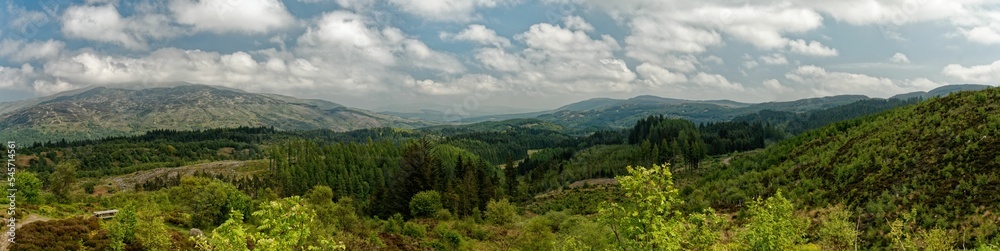 Panoramic shot of green landscapes under the cloudy sky