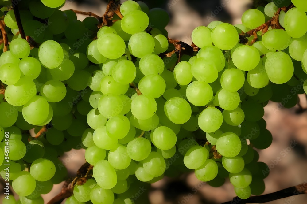 green grapes, fresh healthy fruit, delicious and juicy snack