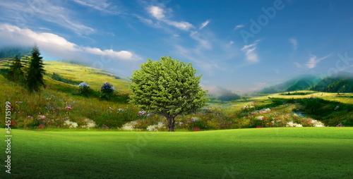 flowers and mountain on blue cloudy sky wild field trees and grass beautiful nature landscape