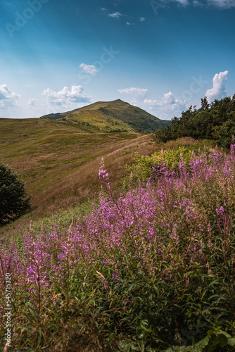 Fototapeta Naklejka Na Ścianę i Meble -  Panorama in Bieszczady Mountains in Poland