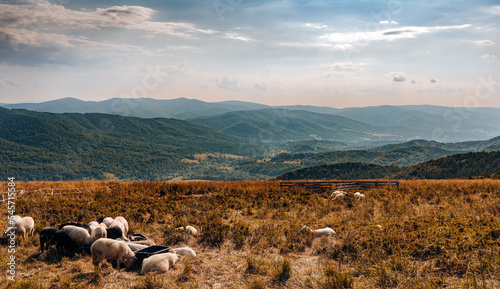 Fototapeta Naklejka Na Ścianę i Meble -  Panorama in Bieszczady Mountains in Poland