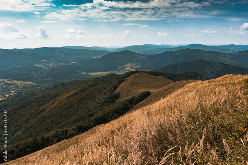 Fototapeta Naklejka Na Ścianę i Meble -  Panorama in Bieszczady Mountains in Poland