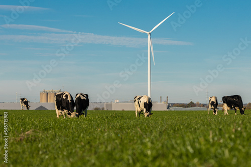 Maastricht, Netherlands 11-13-2022 Old versus new, with a focus on the current nitrogen discussion in the Netherlands with a view on live stock and innovative and sustainable windmill energy 