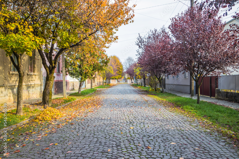 Pavement road in a small cozy town in autumn in sunny day. Yellow leaves and trees in autumn. Picturesque European street in a small town with beautiful old houses and paving stones. Mukachevo.Ukraine